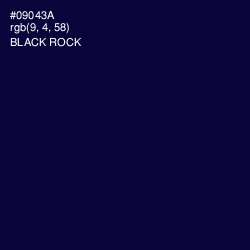#09043A - Black Rock Color Image